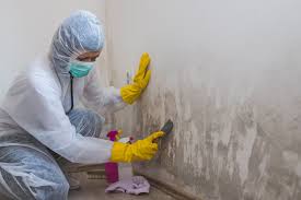 Best Water Damage & Mold Remediation  in Memphis, MO